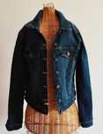Casaco de Ganga Denim Essentials
