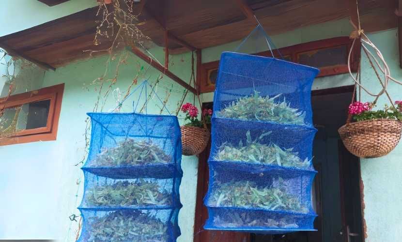 Pojemna Suszarka Siatka 4 Warstwowa do Grzybów Ziół Owoców na Ryby HIT