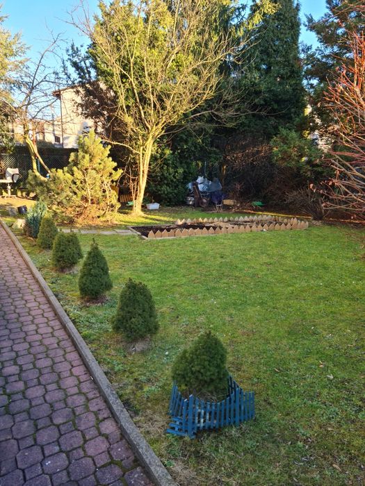 Dom do wynajęcia całe piętro