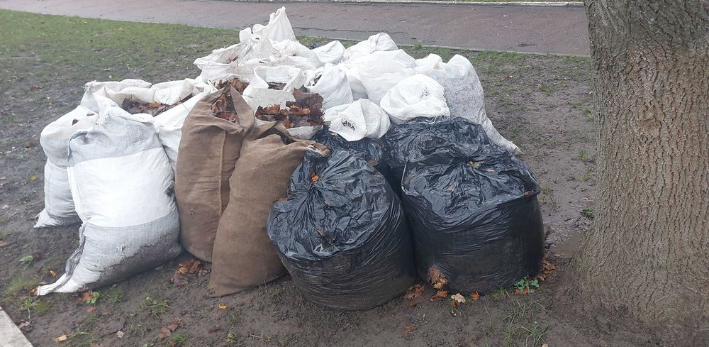 Листя для підживлення