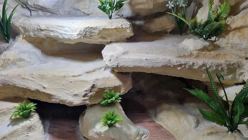 Terrarium  gotowe  dla agamy , gekona ,jaszczurki 100x50x50