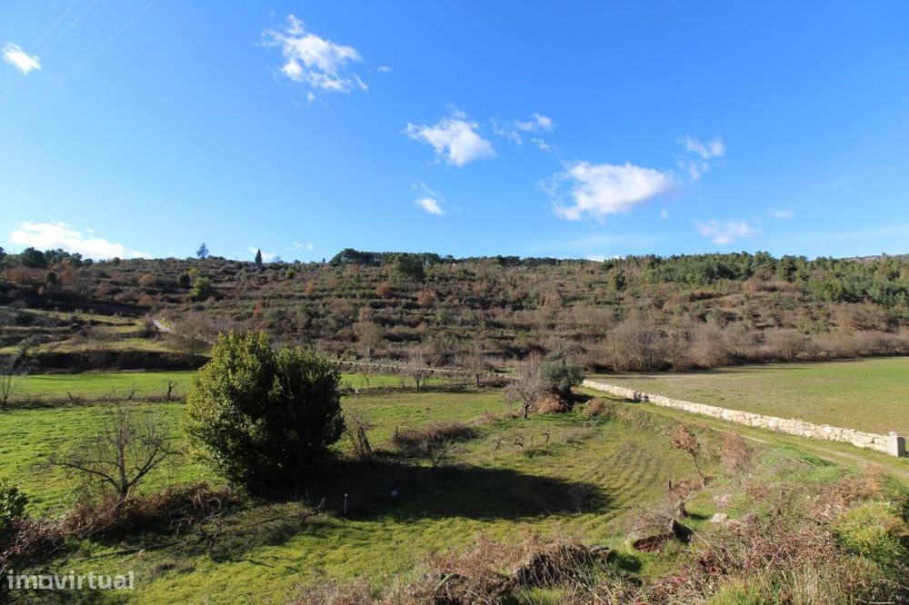 Magnífica Quinta com 11ha - Fornos de Algodres