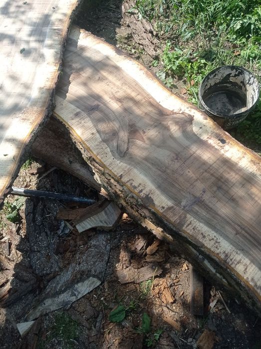 Дошка горіха грецького