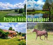 Pesjonat dla klaczy lub wałacha