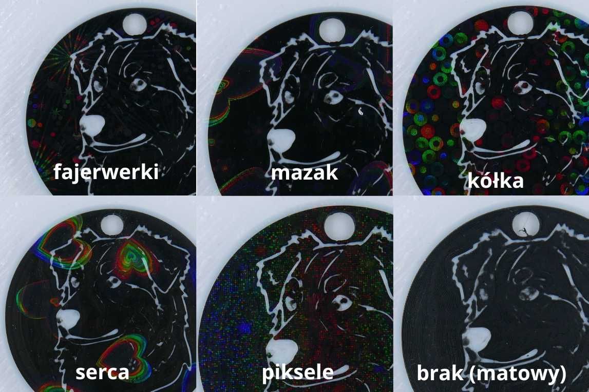 Adresówka dla psa - Border Collie - zawieszka imiennik identyfikator