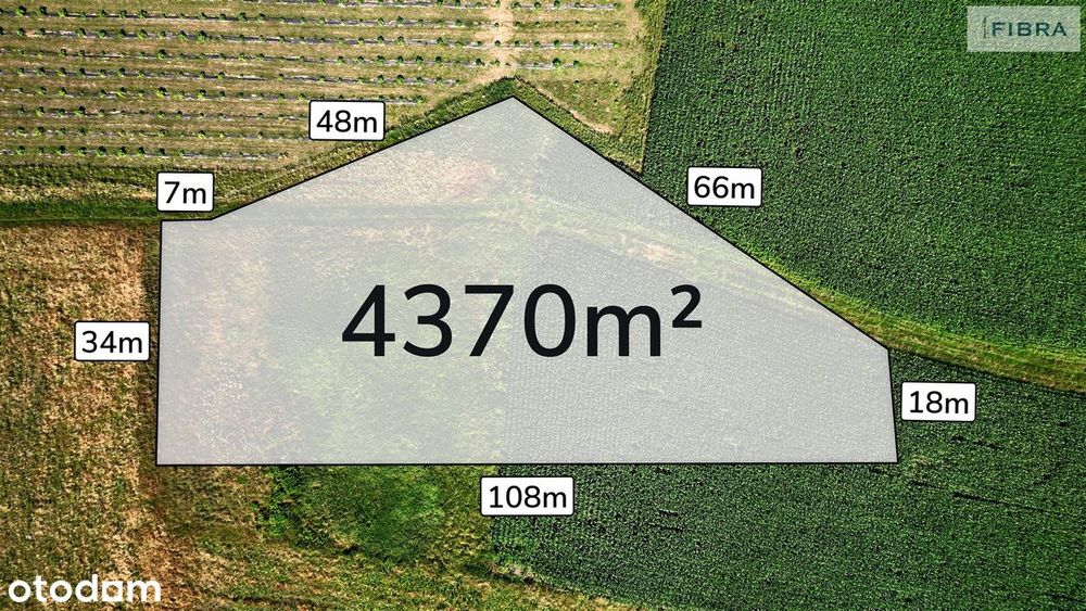 Bogactwo działki rolnej w Lyskach