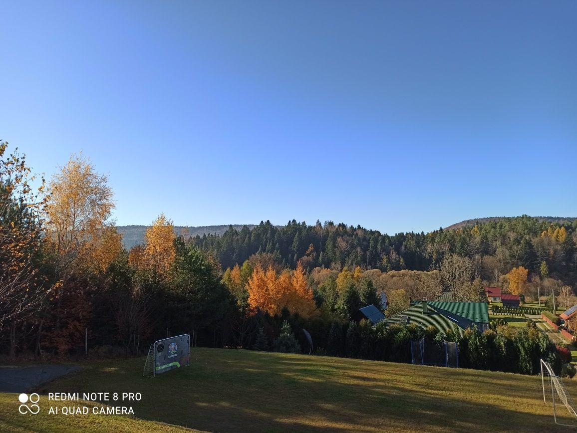 Noclegi w Bieszczadach,domek w Bieszczadach, Bieszczady"Leśniczówka"