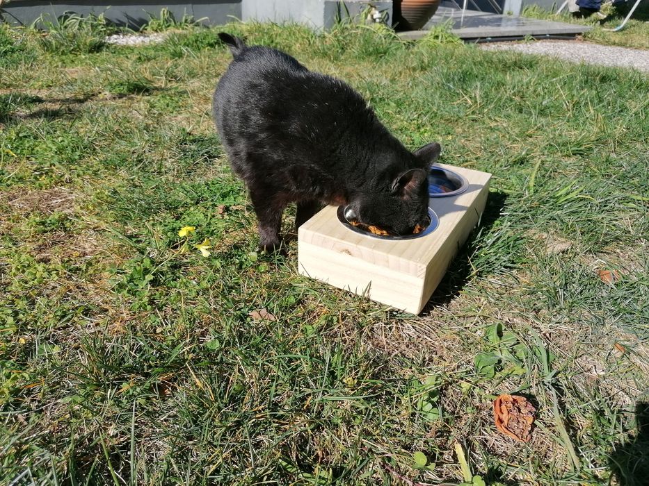 Comedouros animais vários tamanhos