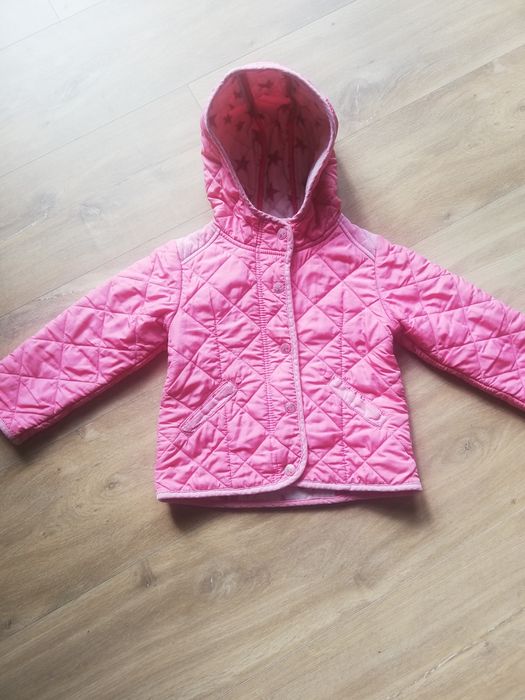 Kureczka wiosenna na polarku Reserved r 98