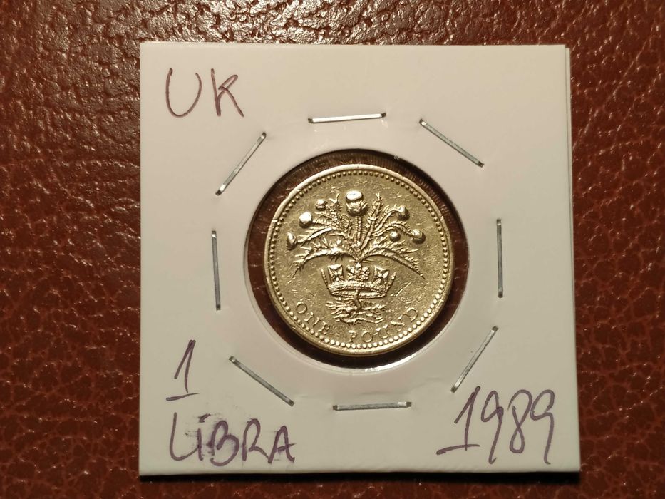 A380 moeda de 1 libra de 1989 (Plantas) - Reino Unido