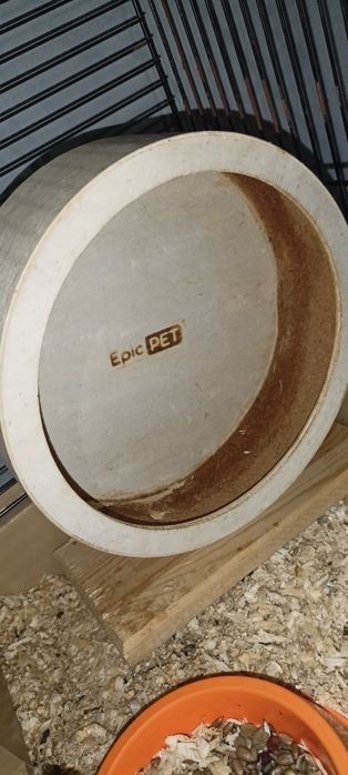 Kołowrotek dla chomika Syryjskiego