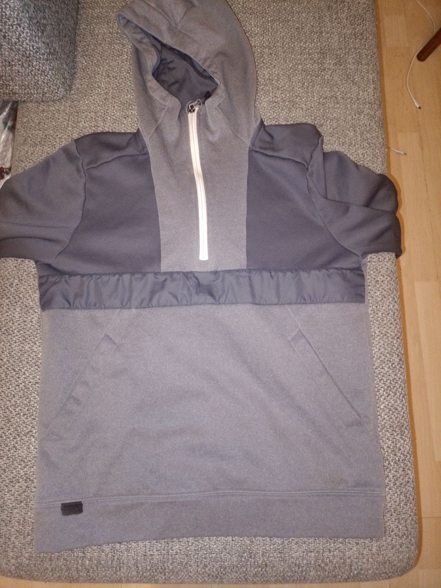 Bluza the north face