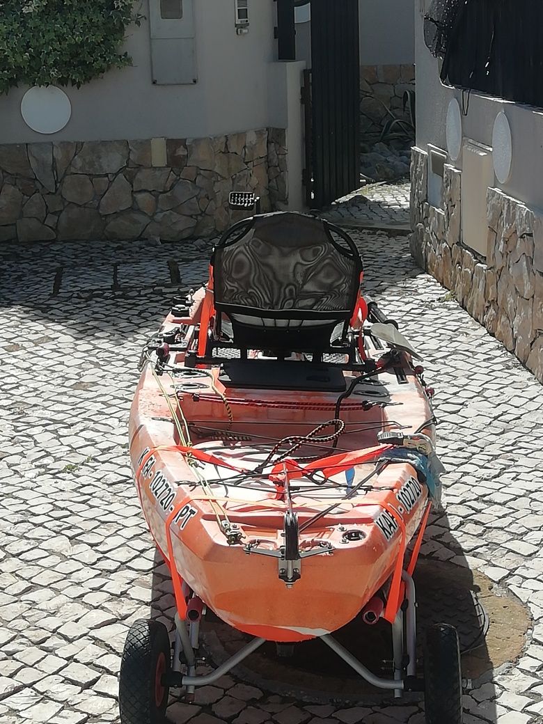 Kayak catcher pedais