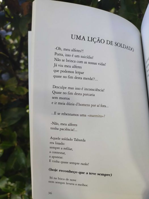 Trinta facadas de raiva (António Calvinho)