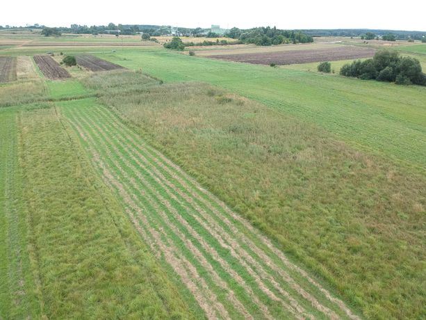 Pole Rolne 0,79 ha, 20m szer. przy asfalcie. Niedaleko zabudowań.