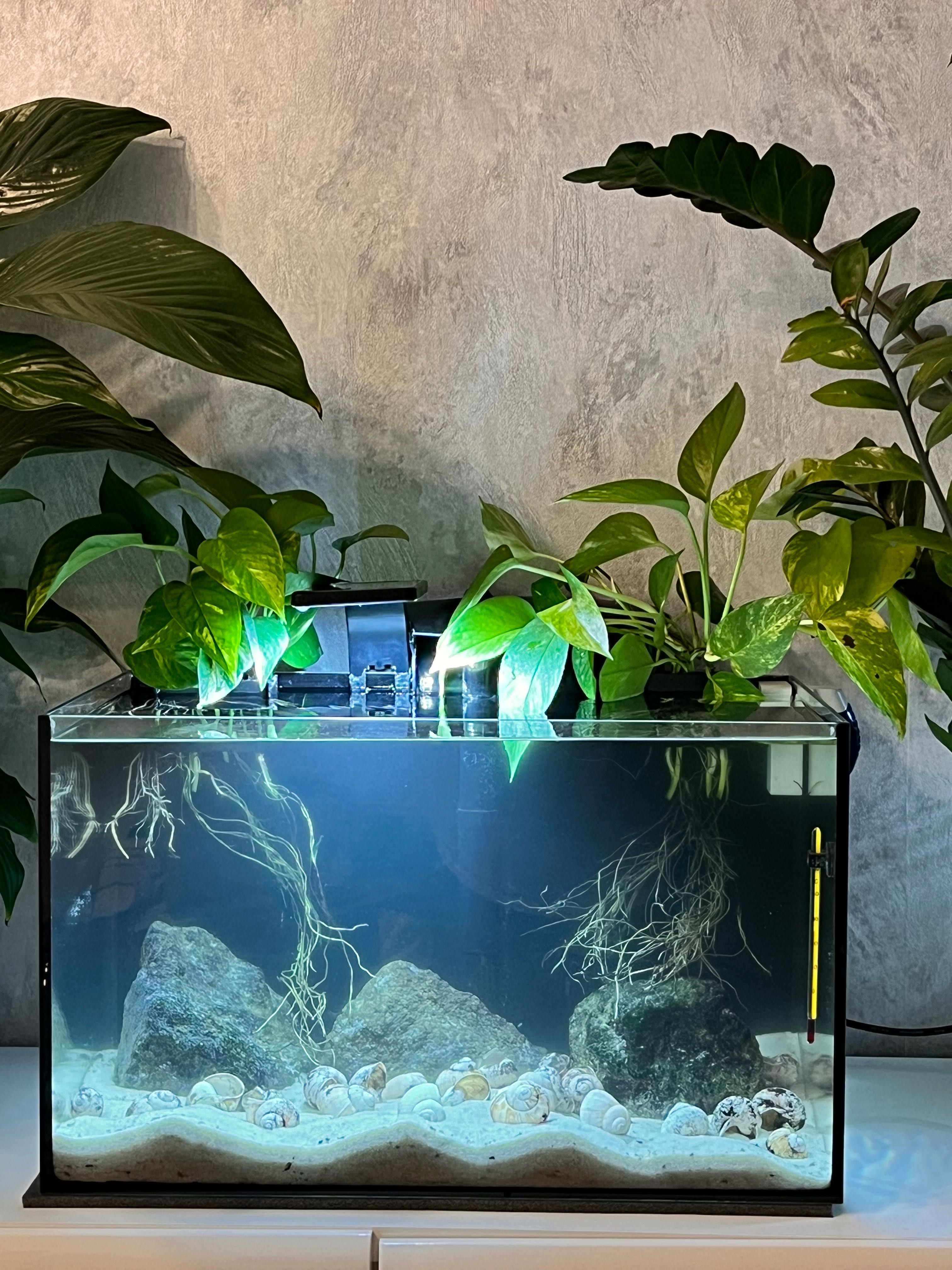 Akwarium komplet AQUAEL 45 l Biotop Tanganika muszlowce WSTRZYMANE