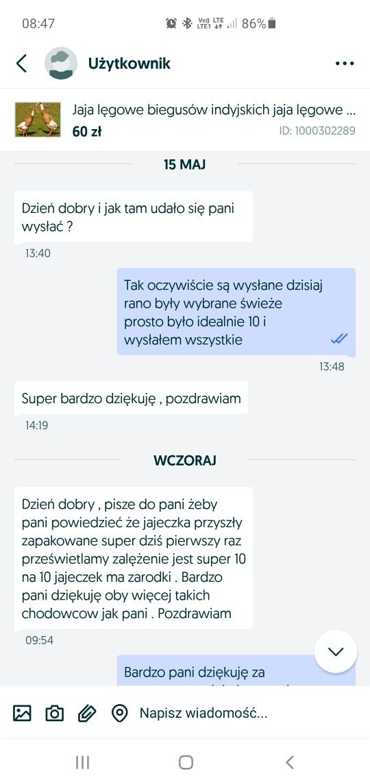 Jaja lęgowe biegusów indyjskich jaja lęgowe biegusów kaczek biegusów i
