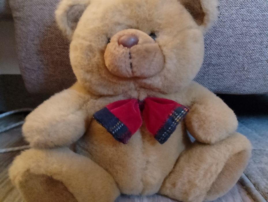 Гарний плюшевий ведмедик.