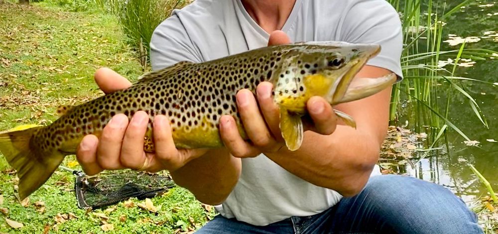 Kawalerski paniejski Leśniczówka domek stawy balia sauna w lesie