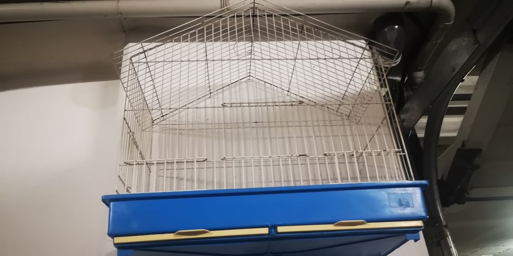 Gaiola Para pássaros