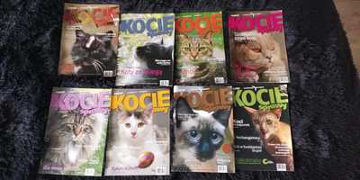 Magazyn "Kocie sprawy" z 2010 i 2011 roku, koty