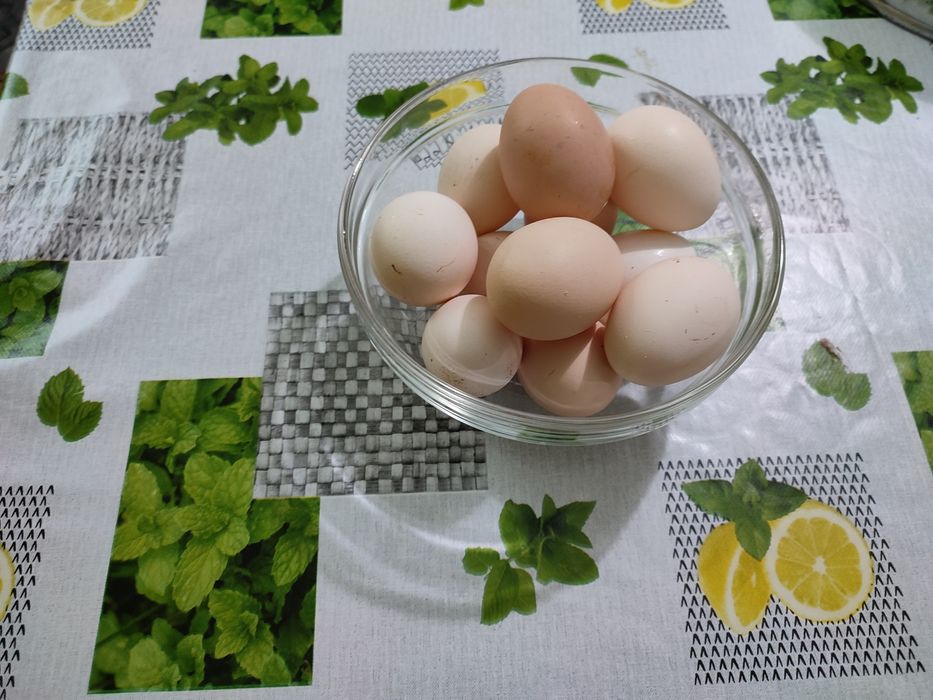 Jaja wiejskie z wolnego wybiegu z dowozem pod adres