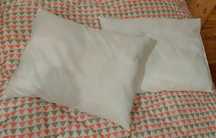 2 Almofadas microfibra 45x60