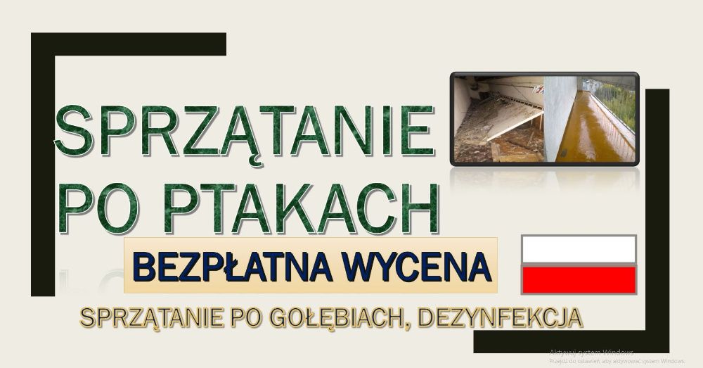 Sprzątanie balkonu, balkonów po gołebiach, cena, Wrocław, odchodów