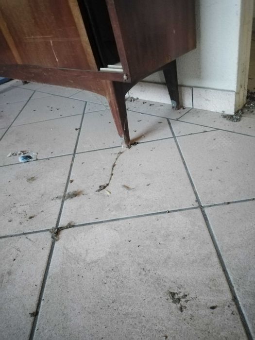 Aparador/Cómoda/Consola/Móvel Olaio