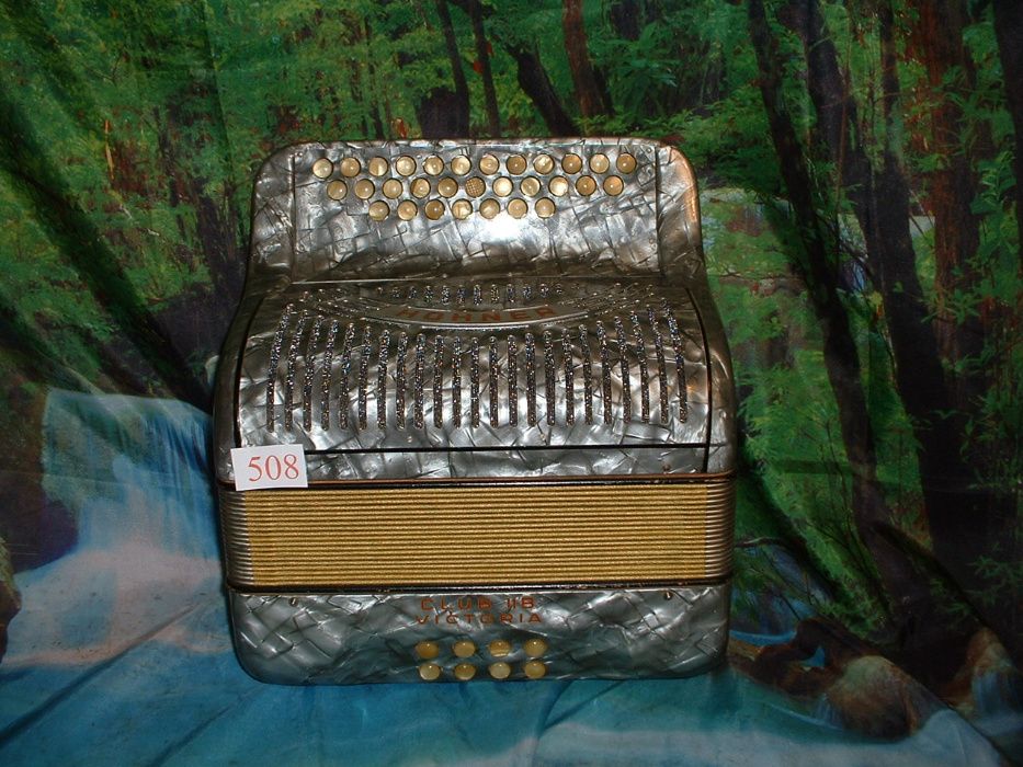 Concertina n. 508