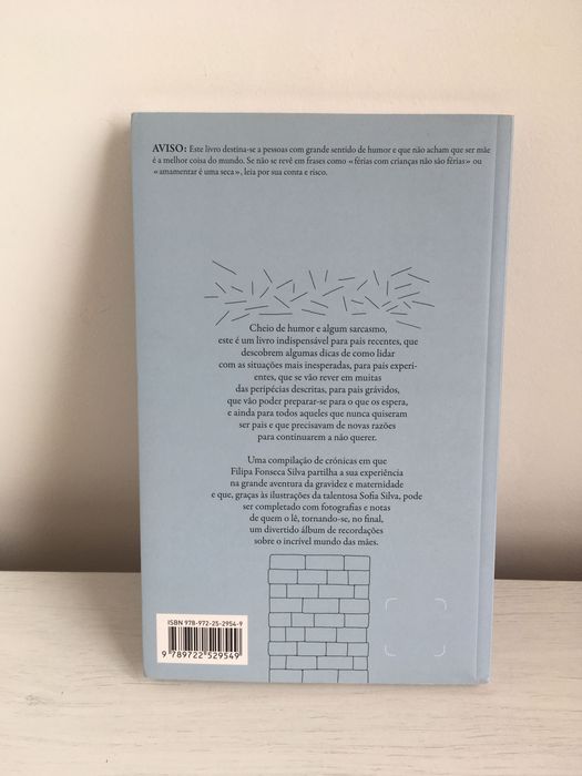 Livro "Coisas Que Uma Mãe Descobre"