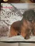 Livro de raças de cães