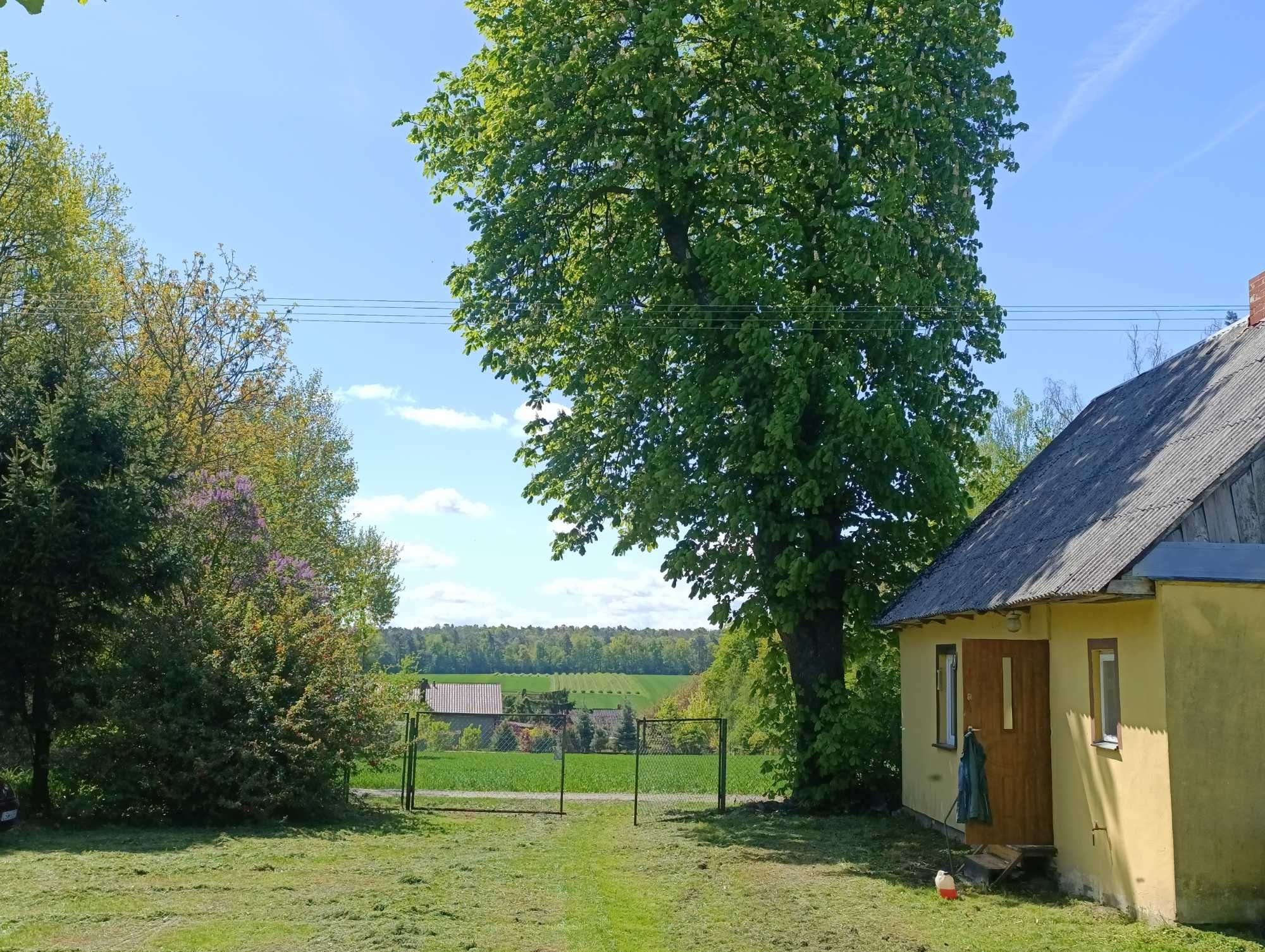 Siedlisko Bielecha