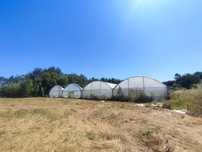 Estufa agrícola.