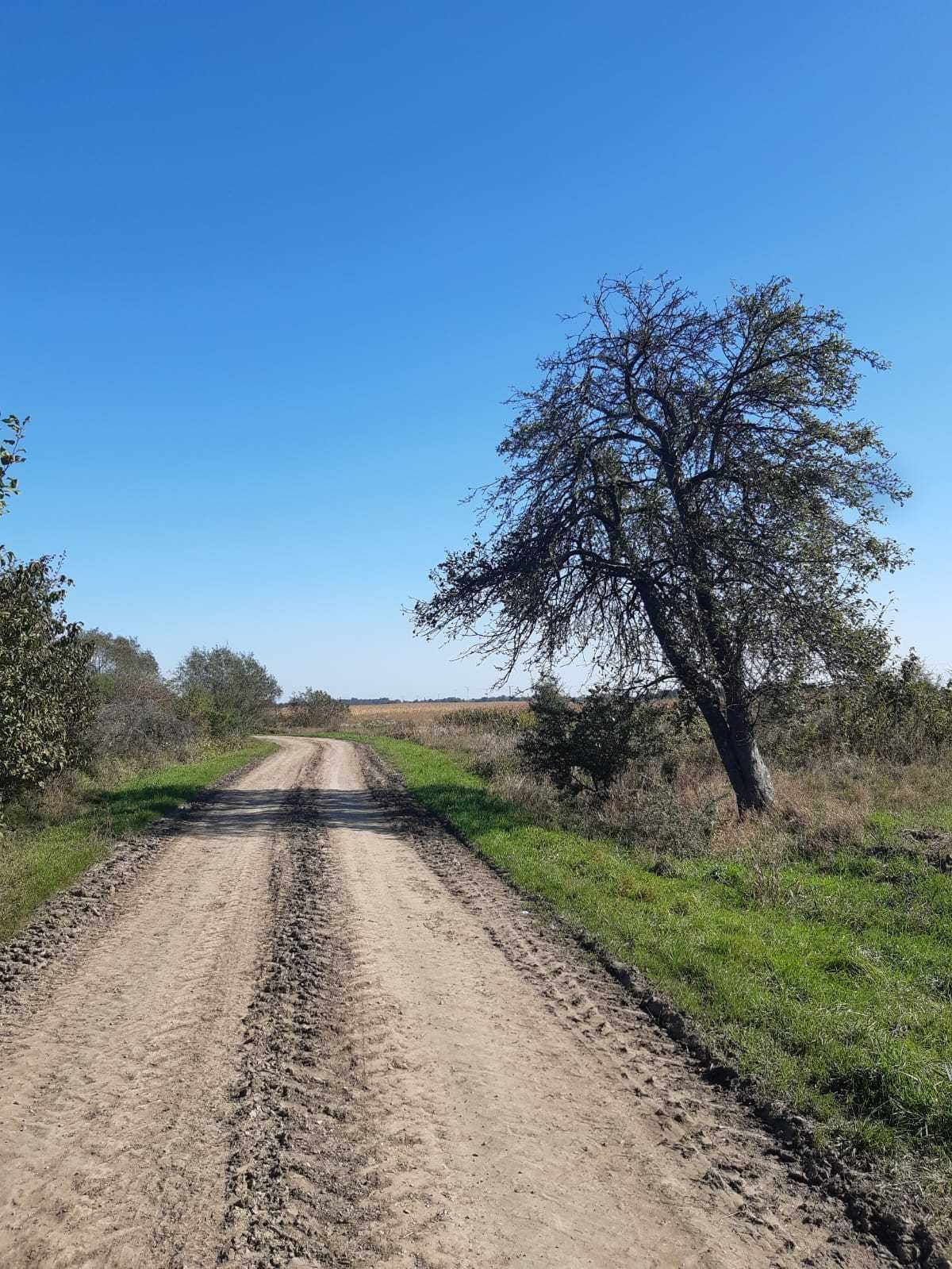 Sprzedam działkę