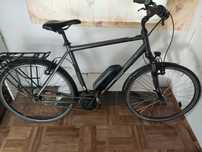 Rower elektryczny Triumph e cloud 5