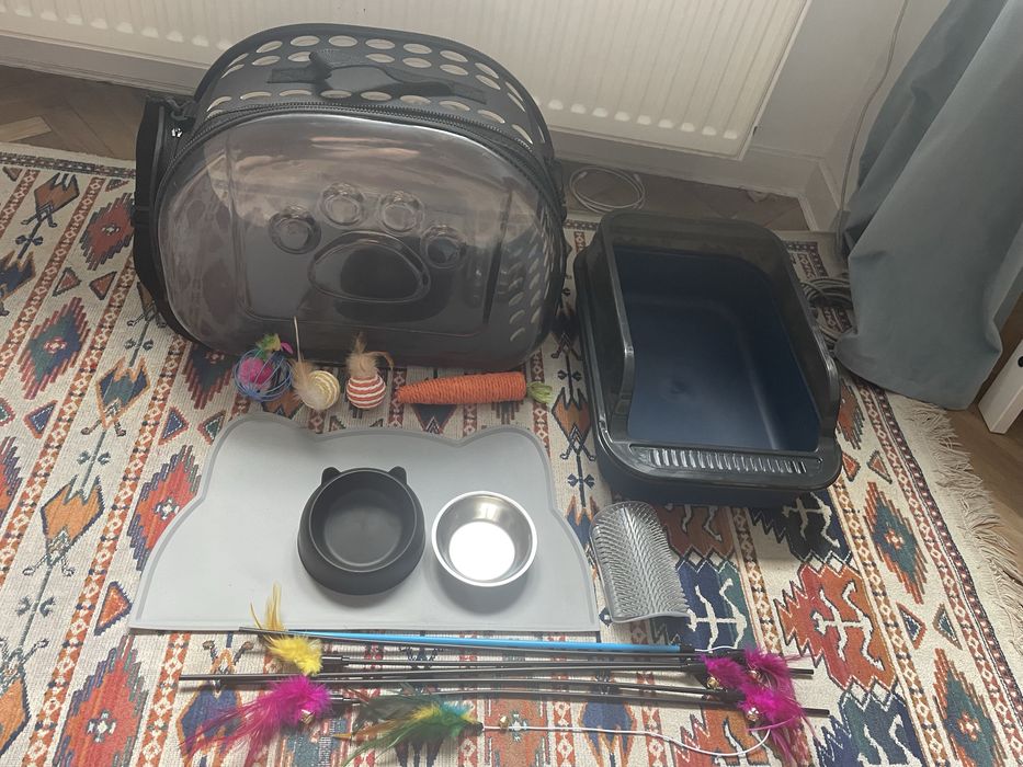 Kot Starter-pack 101