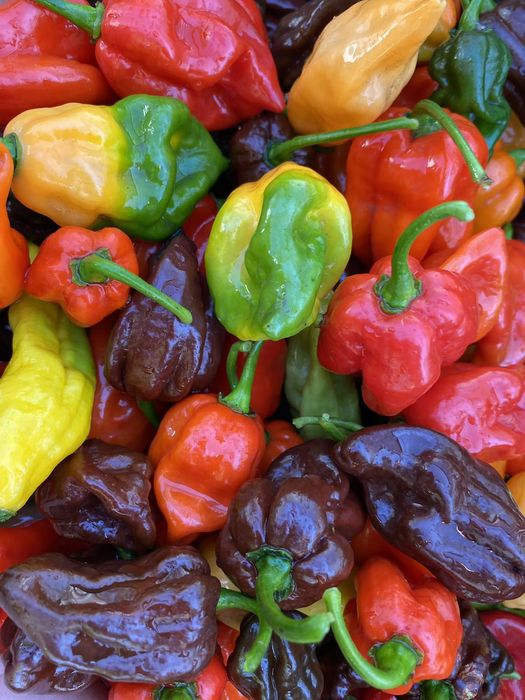 Острый соус,хабанеро,хабанеро шоколад,кисло сладкий,семена