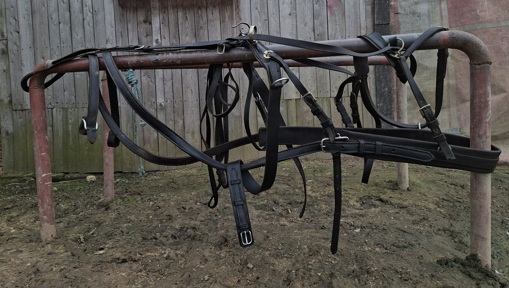 Puszorki na parę na duże konie