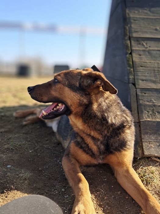 Lucjan szuka człowieka