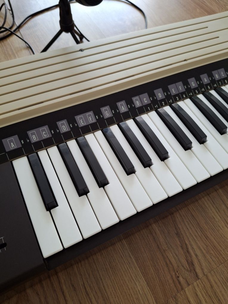 Organy bontempi+mikrofon