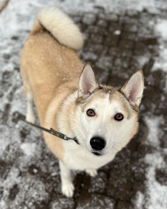 Ищу супер хорошего человека для Юты!