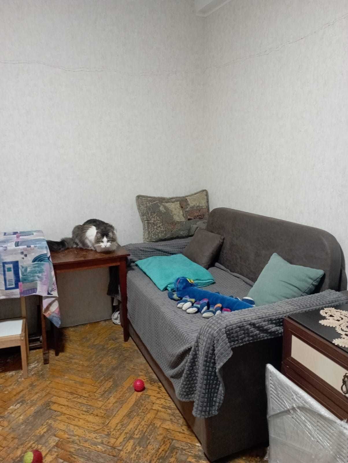 Двокімнатна квартира в довгострокову аренду (Київ, Отрадний)