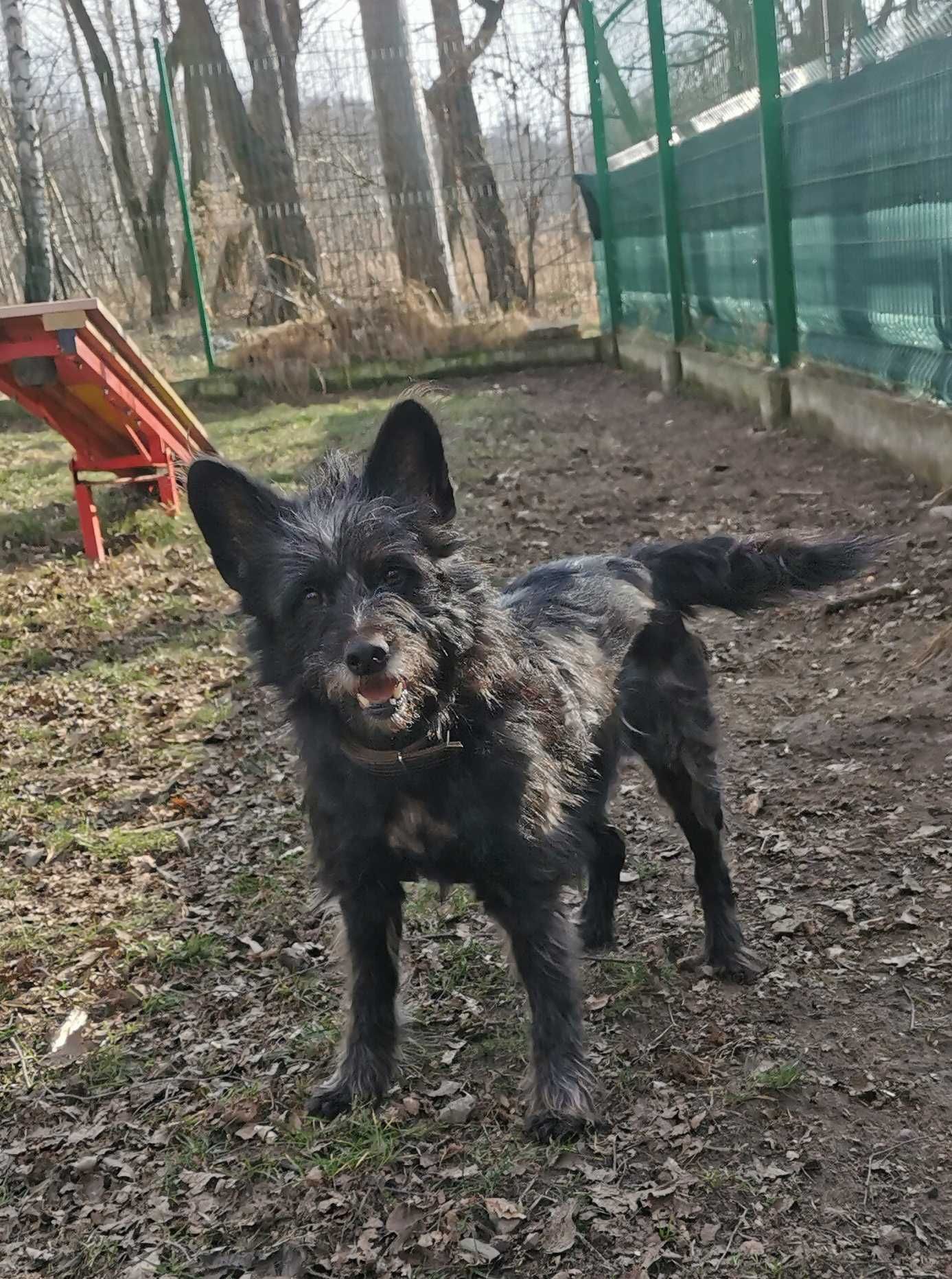 Birma czeka na dom...