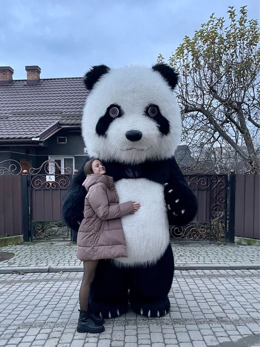 Панда Львів;День народження Львів;Ведмедик Львів;Білий ведмідь Львів