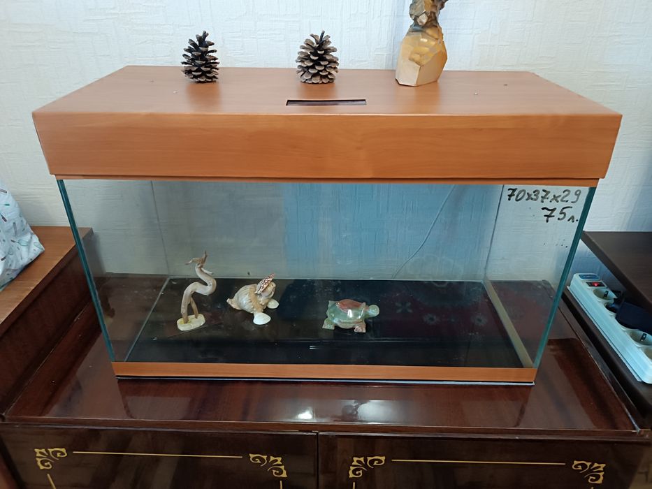 Акваріум, розпродаж