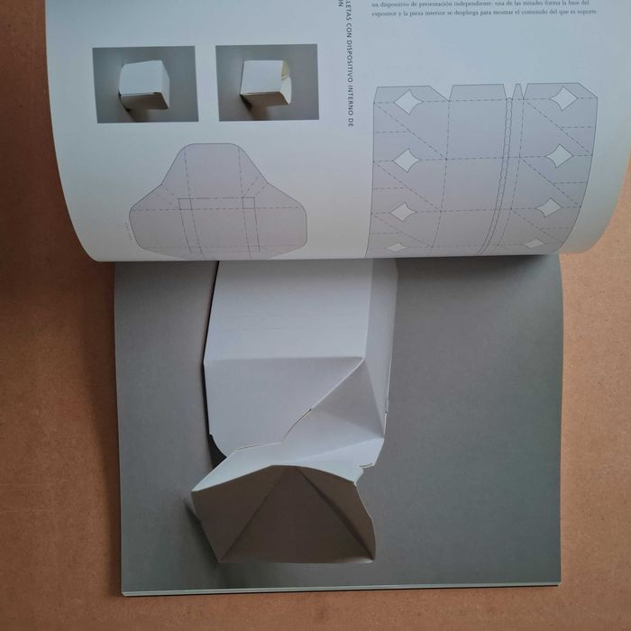 "Prototipos de packing" de Edward Denison