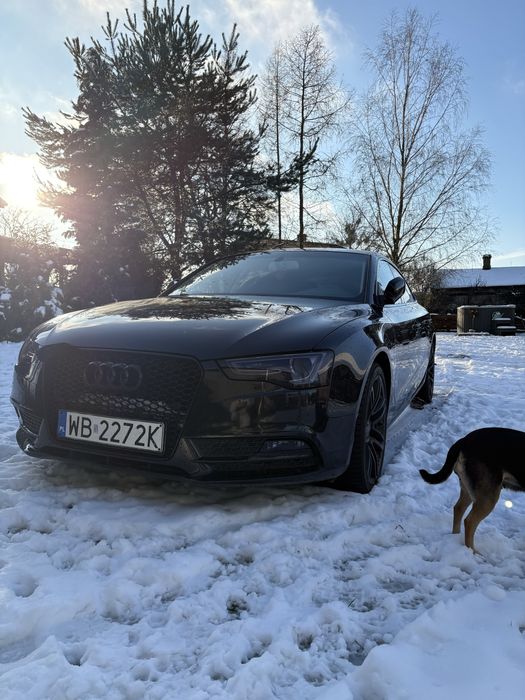 A5 sportback Polski Salon
