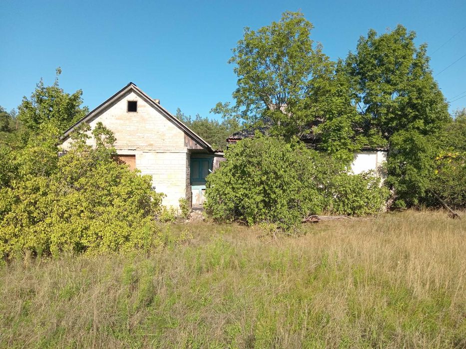 Продам будинок з ділянкою 52 сотки біля лісу с.Воропаїв