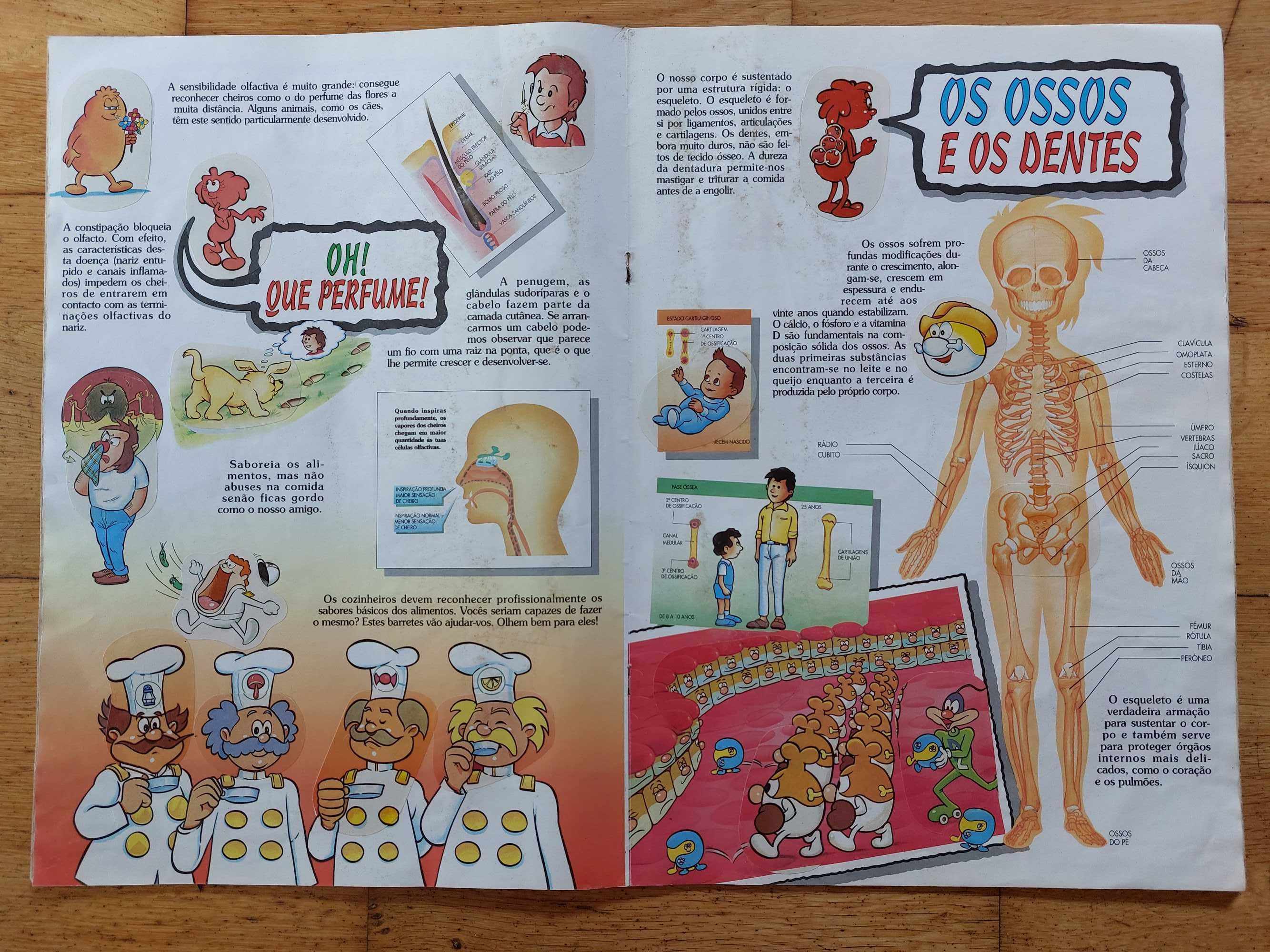 Caderneta de cromos "Era uma vez o corpo humano" - completa